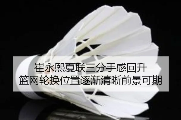 崔永熙夏联三分手感回升 篮网轮换位置逐渐清晰前景可期
